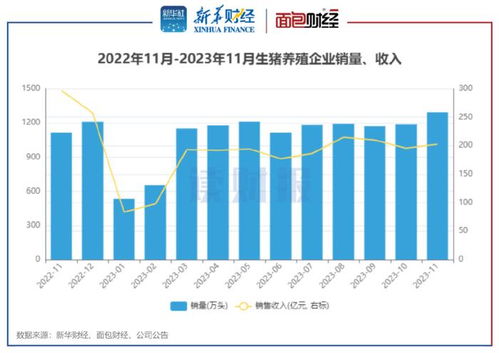 生豬養(yǎng)殖與醫(yī)藥零售雙線觀察 上市豬企11月銷量同比增16%，天邦食品領漲