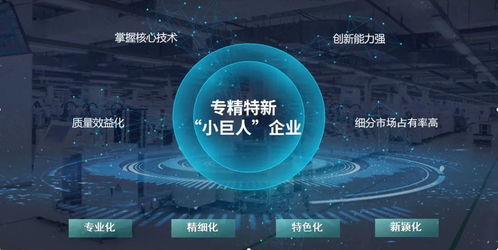 玄羽科技榮膺國家級“專精特新”小巨人企業(yè)，引領(lǐng)工業(yè)互聯(lián)網(wǎng)數(shù)據(jù)服務(wù)新篇章