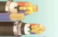 河北鎧裝耐火控制電纜NH-KVV22 生產廠家、產品特性與應用解析
